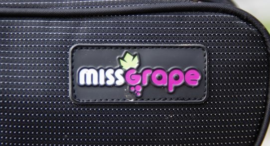Noleggio borse Miss Grape